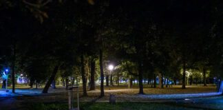 Tarnów planty kolejowe