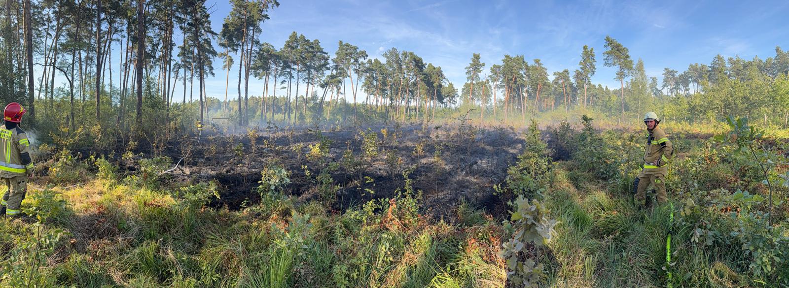 Pożar lasu w Łętowicach. Kilka zastępów straży pożarnej w akcji.