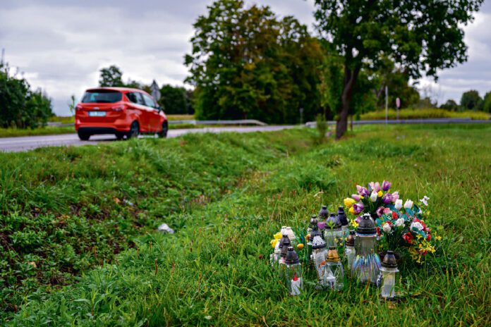 Lato 2025 w Tarnowie i regionie