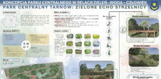 Jak będzie wyglądał teren za Przystanią Kantoria