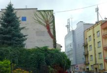 Zielony mural Nowy Świat Tarnów