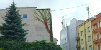Zielony mural Nowy Świat Tarnów
