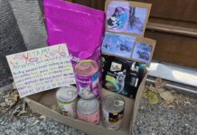 Małe serce, wielka pomoc! Dziewczynka codziennie pomaga bezpańskim zwierzakom