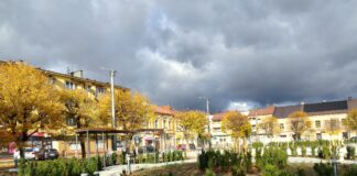 Rynek Dąbrowa Tarnowska