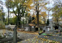 Na cmentarz miejskim autobusem… Komunikacja miejska na cmentarze