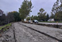 Nowodąbrowska ścieżka rowerowa