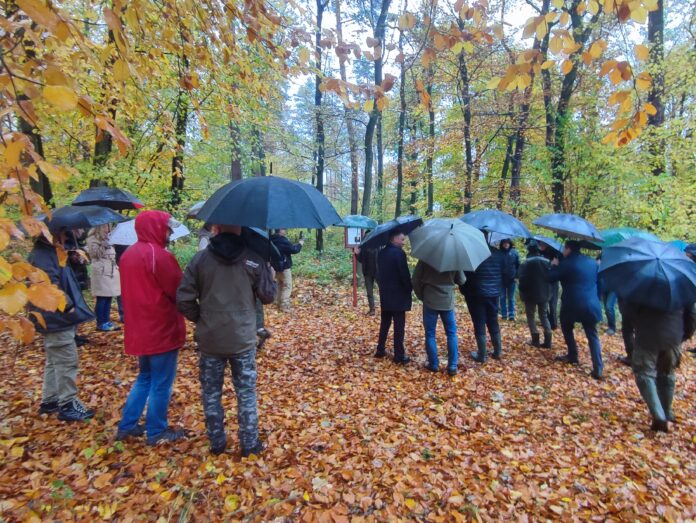 Las Kolanowski Las Kolanowski