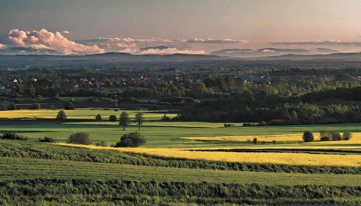 Łukowa bez słonecznej energii?