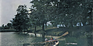 Staw Wolnego w Brzesku