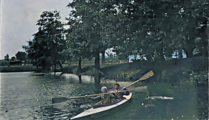 Staw Wolnego w Brzesku