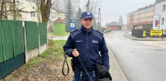 Pies KPP Dąbrowa Tarnowska