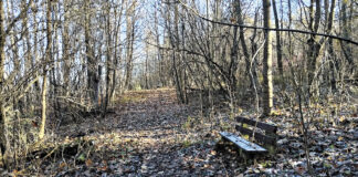 Ścieżka zdrowia na Marcince