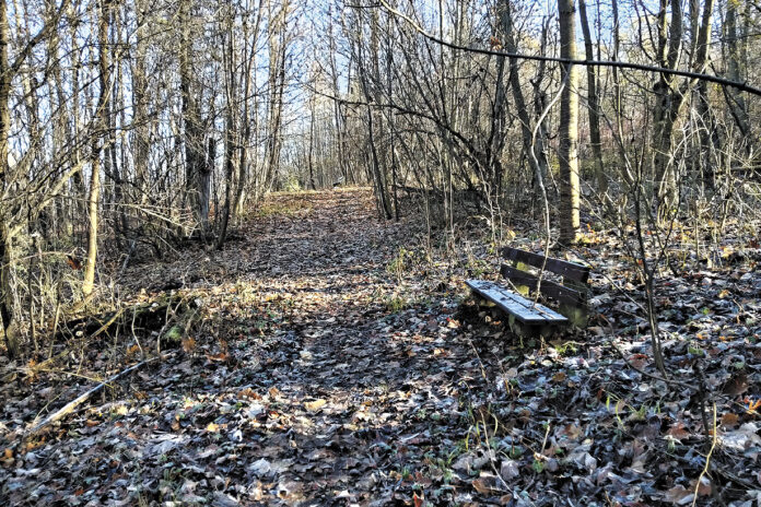 Ścieżka zdrowia na Marcince