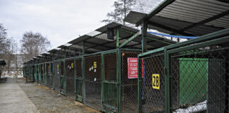 Tarnów burza wokół azylu dla zwierząt