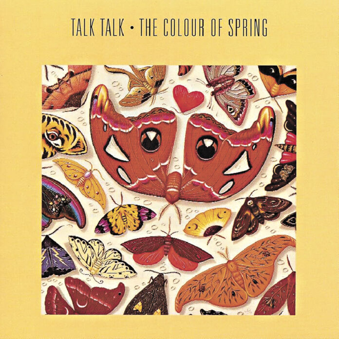 fonograf - Talk Talk