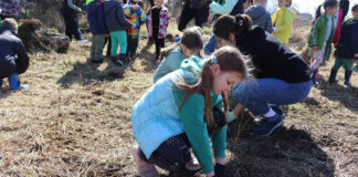 W całej Małopolsce znów będziemy sadzić drzewa